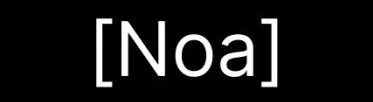 Techleads Noa logo